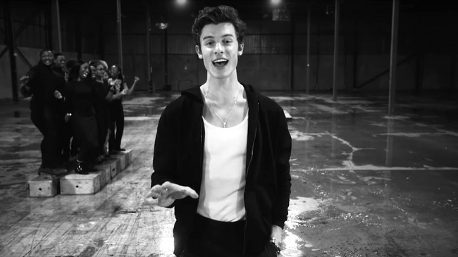 Check Out The Latest Music Video from Shawn Mendes