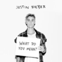 What Do You Mean?